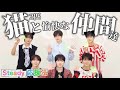 【NCT WISH/掛け声】“おれおれ”言いたくなる掛け声