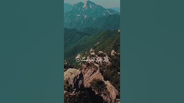 أفلا ينظرون إلى الابل كيف خلقت ، تلاوة مؤثرة عبد الرحمن مسعد 🥹🐪#explore #قرآن_كريم #viral