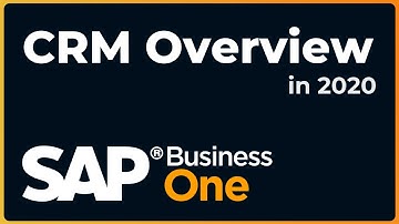 A High-Level Overview of the CRM Capabilities of SAP Business One in 2020