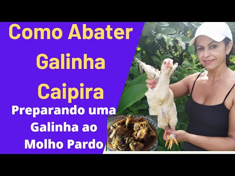 Como Abater Galinha Caipira, Galinha ao Molho Pardo (Cenas Fortes do abate)