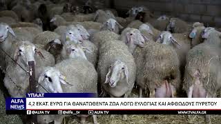 ΥΠΑΑΤ-4,2 ΕΚΑΤ. ΕΥΡΩ ΓΙΑ ΘΑΝΑΤΩΘΕΝΤΑ ΖΩΑ ΛΟΓΩ ΕΥΛΟΓΙΑΣ ΚΑΙ ΑΦΘΩΔΟΥΣ ΠΥΡΕΤΟΥ