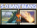 5 0 BANT BEANSTALK CONTROL Legacy Beans Ft 4x Solitude And 4x Quantum Riddler MTG MTGO League 5 0 BANT BEANSTALK CONTROL Legacy Beans Ft 4x Solitude And 4x Quantum Riddler MTG MTGO League