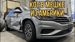 КОТ В МЕШКЕ ИЗ АМЕРИКИ ИЛИ КАКИЕ МОГУТ БЫТЬ СЮРПРИЗЫ