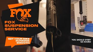 HOW TO SERVICE FOX SUSPENSION WITH FOX FACTORY MECHANIC // FOX 36 / DPX2 (32, 34, 36, 38)