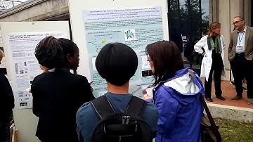 The Hippo Pathway across species and disciplines Poster session II