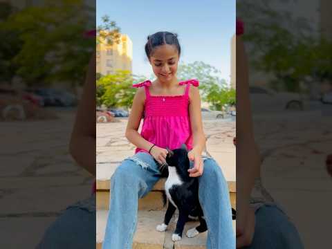 اروى بنتى بتحبب قطط الشارع