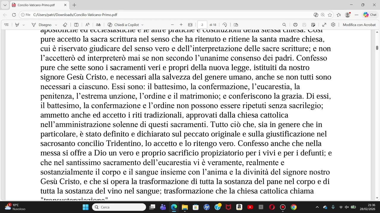 Concilio Vaticano I, I parte