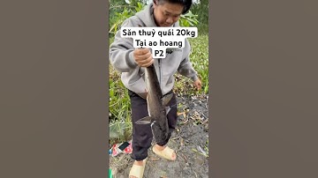 Săn thuỷ quái 20kg tại ao hoang p2 : Va Hàng #cauca #fishing #caucathugian #caucatunhien #coifishing