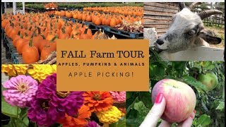 Fall Farm Tour Apple Picking Pumpkins Feeding Farm Animals New England Life