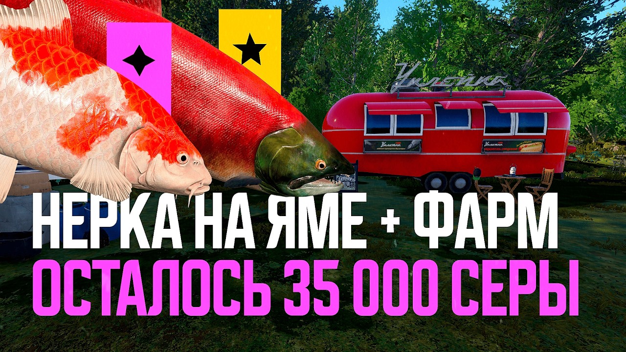 За Неркой на Яму + фарм. Осталось 35 000 серебра ● Русская рыбалка 4 ● Перчик РР4