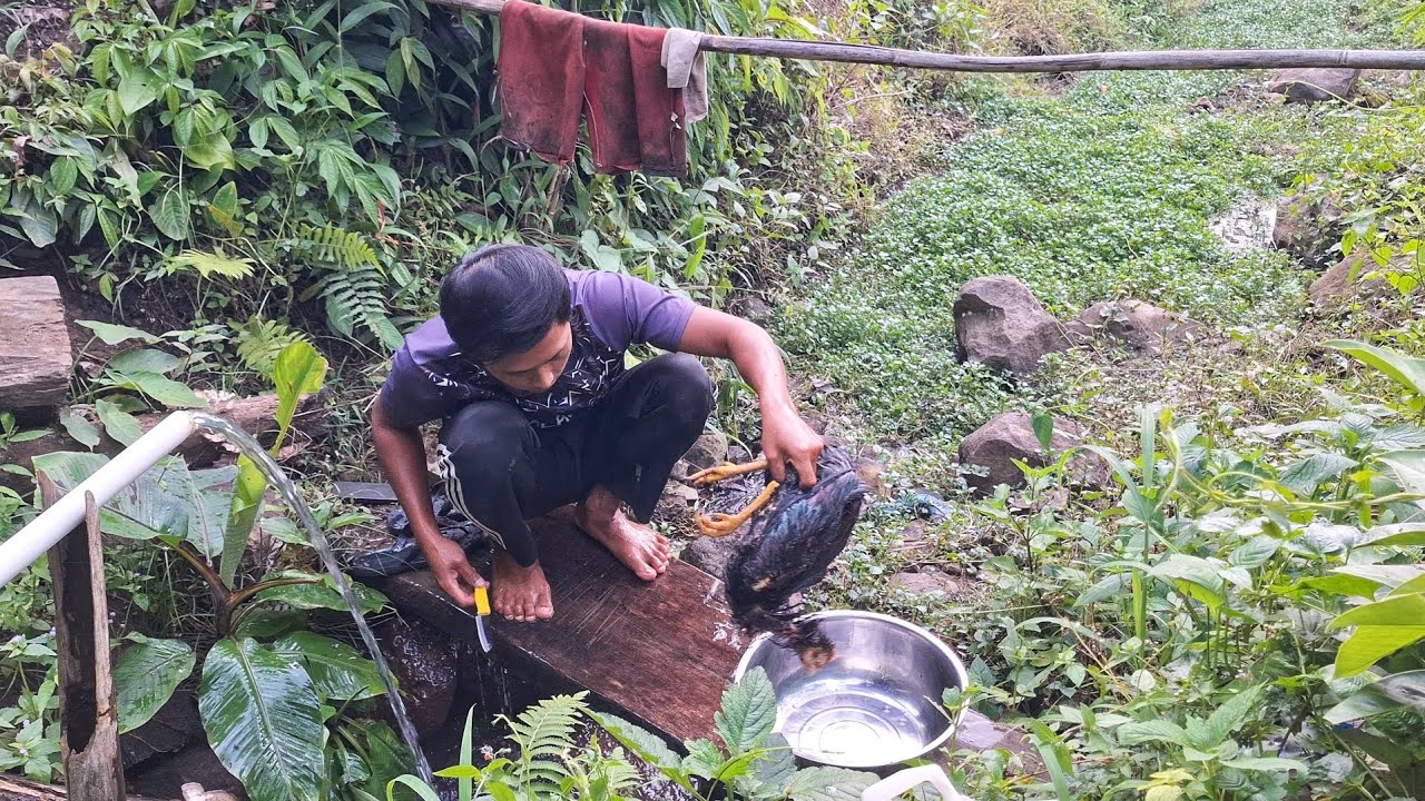 Dulu Sering Ikut Setiap Kekebun, Sekarang Terpaksa Dimasak, Daripada Mubazir