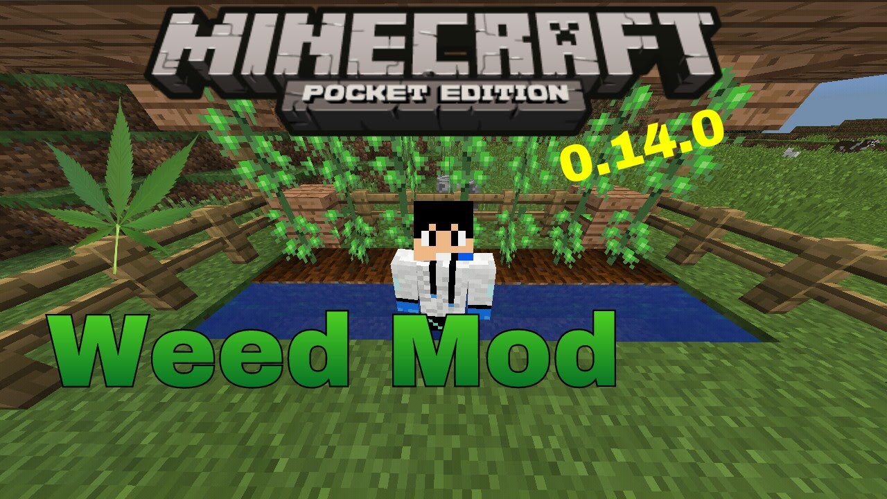 Minecraft pe 0.14.1 Weed Mod - YouTube