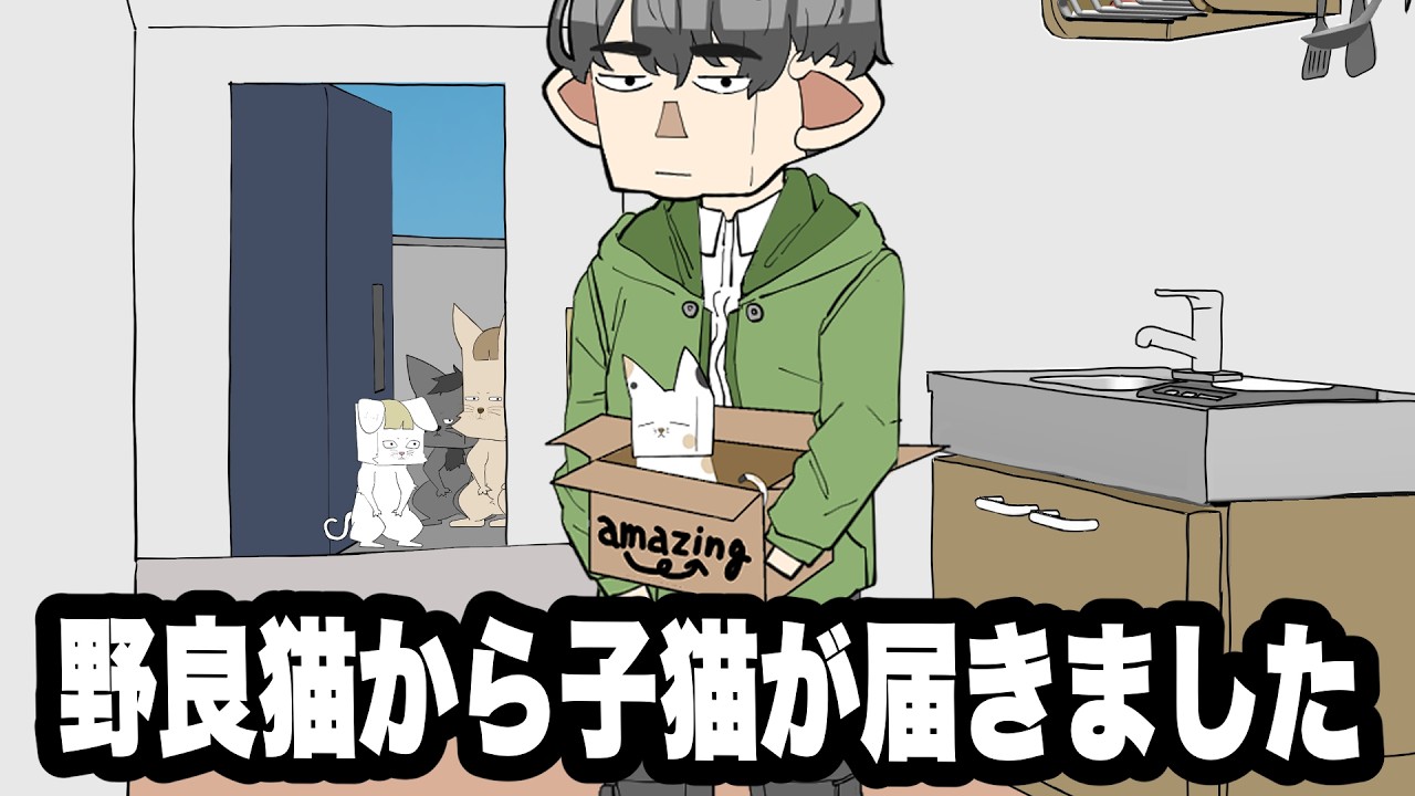 A kitten arrived from a stray cat [Anime] - YouTube