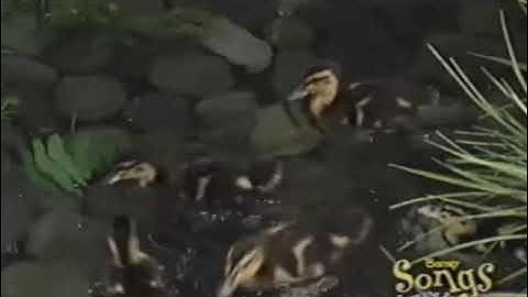 Songs From The Park (Demo Version) Part 5