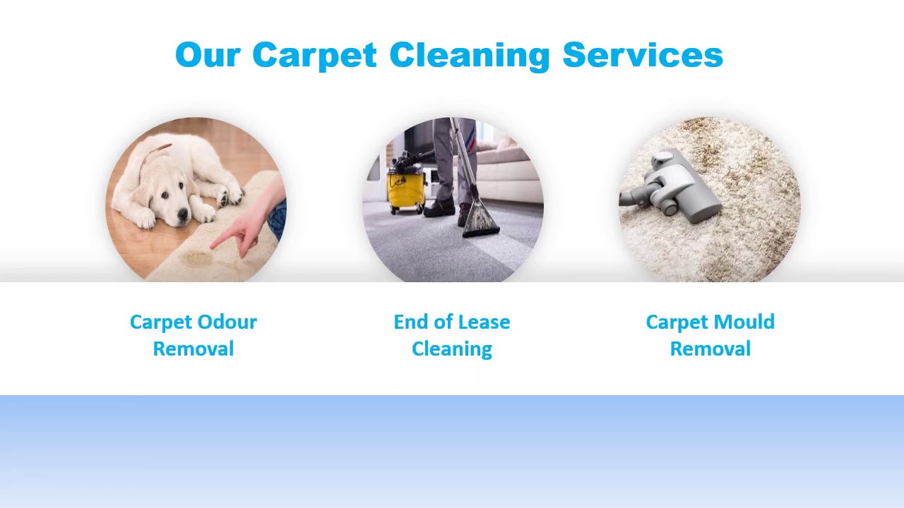 Reliable Cleaning Services Professional Cleaning Services Carpet