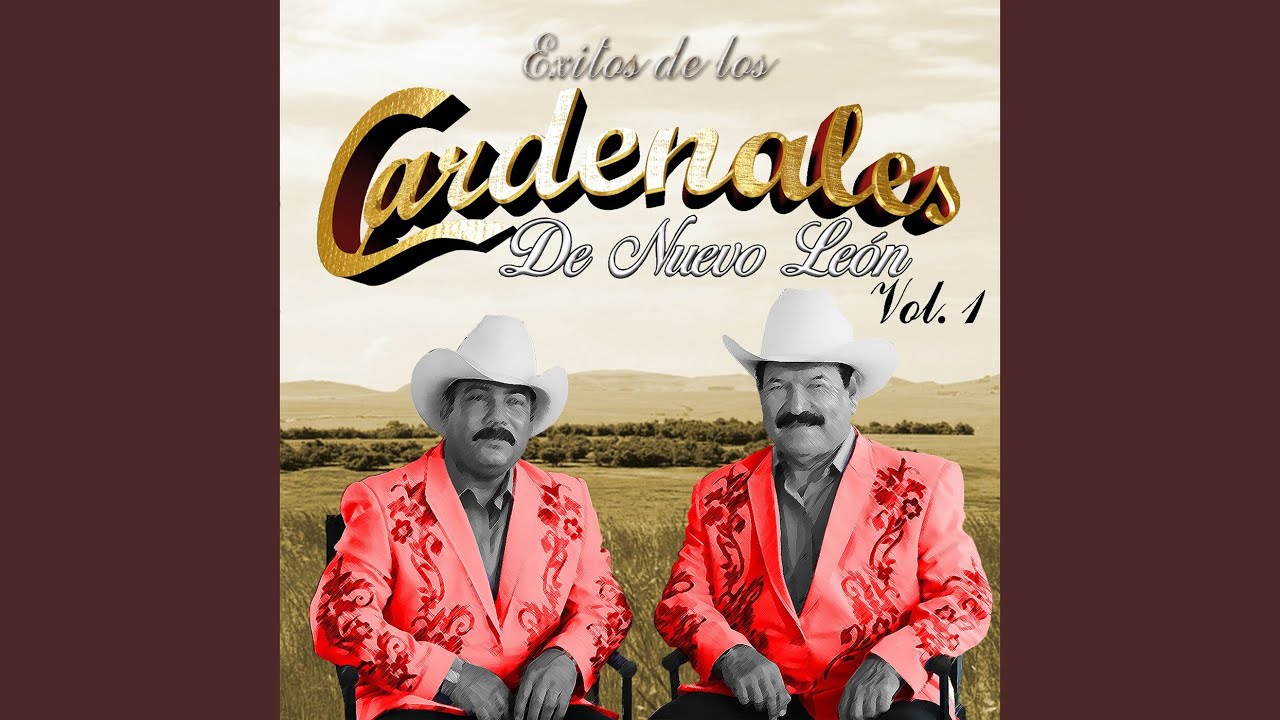 El Cariño Que Perdi