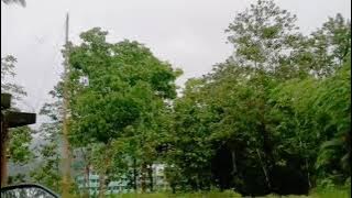 Keindahan Desa: Pemandangan Sawah dan Alam yang Menyegarkan