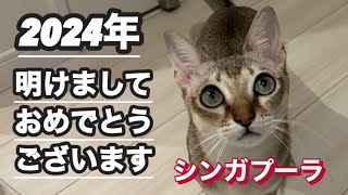 明けましておめでとうございます by こてつチャンネル 319 views 4 months ago 1 minute, 20 seconds