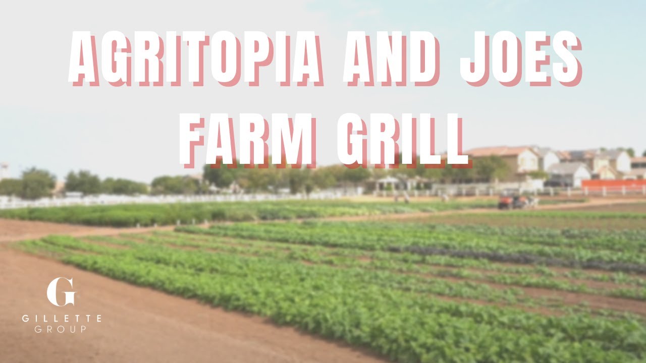Agritopia and Joes Farm Grill YouTube