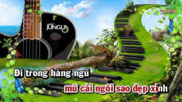 Nhạc không lời chú bộ đội