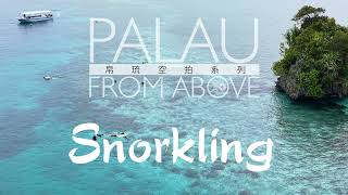 Palau EP 04 Snorkeling Paradise | Palau Aerial Photography Series | Palau From Above Palau EP 04 Snorkeling Paradise | Palau Aerial Photography Series | Palau From Above