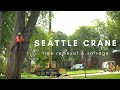 Seattle Crane Tree Removal
