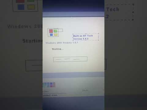 Windows Never Released