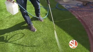 Dirty Turf offers unique cleaning process to eliminate 100% of pet odors