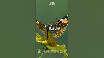 الآية 73 من سورة مريم