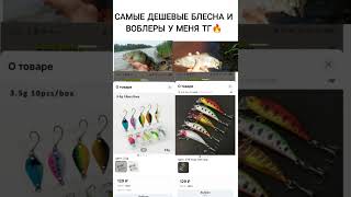ТГ В ШАПКЕ ПРОФИЛЯ!!БЛЕСНА НА ФОРЕЛЬ И ОКУНЯ #рыбалка #форель #ультралайт #спиннинг