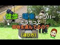 徒歩＆電車キャンプ、どうやって荷物を運ぶのか？【徒歩ソロキャンパーが教える】