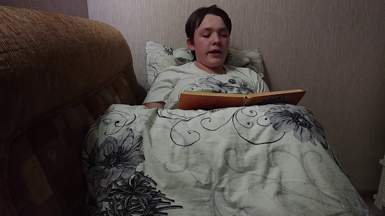#СказкаНаНочьсМТС – «Приключения Нильса с дикими гусями» (ч.2) – читает Вадим – #ОстаньсяДомасГДКНТ