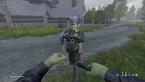 what your enemy sees when you have high ping DayZ