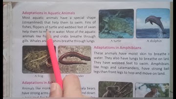 Std. 4th.CBSE. Sub. EVS. Topic- 10.Adaptations - How Animals Survive. (Reading)