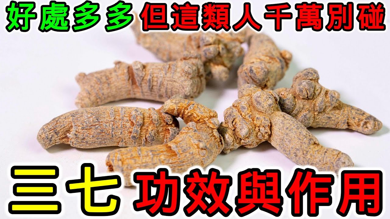 三七的功效和作用，什麼人不適合吃三七？ - YouTube
