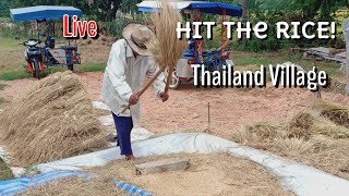 Thai Farmers Making Rice | Maggie's Journey