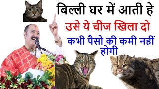 पूरी दुनिया को पता हे बिल्ली घर में आये तो उसे चीज खिला दो ! billi ko khilana ! screenshot 2
