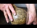 view Gourd Carving - Mate Burilado digital asset number 1