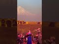 بازخوانی تصنیف غم عشق از آلبوم یادگار دوست توسط مهدیه محمدخانی