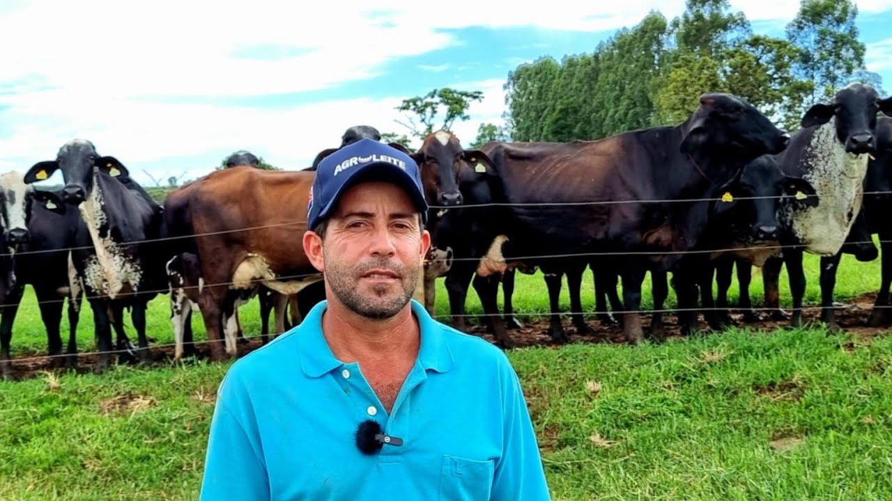 ALTA PRODUÇÃO DE LEITE EM UMA LINDA FAZENDA, PLANEJAMENTO FAZ A DIFERENÇA
