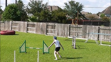 Dog Agility - Front Cross