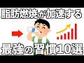 【新2025年】今年こそ脂肪とおさらばする最強の習慣10選