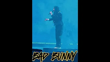 Bad Bunny Live #salsa #dadyyankee #musica #daddyyankee #caribbeanisland