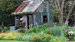 Exploring Tanya Visser's Garden in Tuintoere.