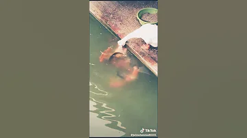 سبحان الله حيدر احمد 