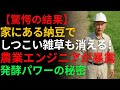 【驚愕の結果】家にある納豆で、どんなにしつこい雑草も消える！農業エンジニアが解き明かす発酵パワーの秘密 | 除草剤 | グリーン農 | 芝生 | 雑草対策