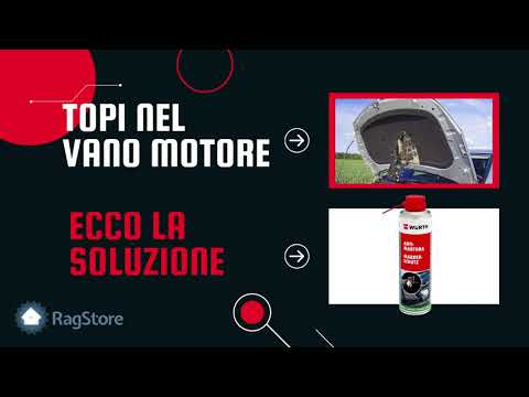 Video: Lo spray repellente per roditori funziona?