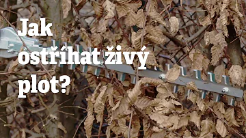 Jaký je tvar živého plotu?