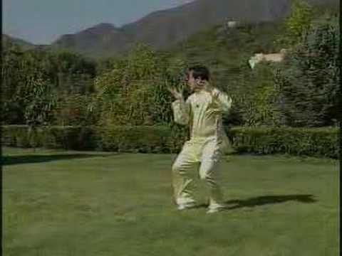 Chen Taijiquan - Xinjia Er Lu (Pao Chui)