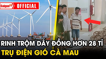 Bắt nhóm người RINH DÂY ĐỒNG và thiết bị điện HƠN 28 TỈ của trụ điện gió Cà Mau | SaigonTV